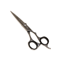 Wahl Tijera Profesional 6,0 Filo Navaja Acero Inoxidable